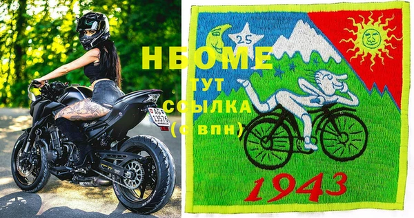 амф Бородино