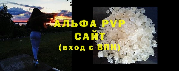 амф Бородино