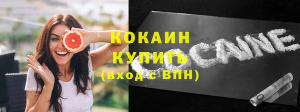 мдпв Верхний Тагил