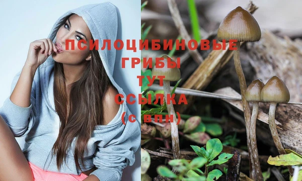 молекула духа Бугульма