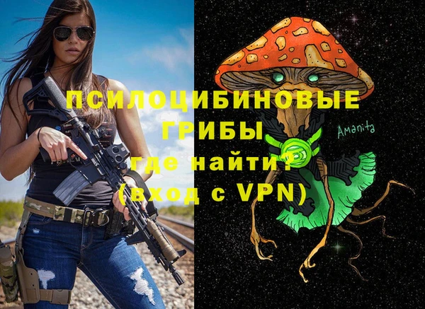 мдпв Верхний Тагил