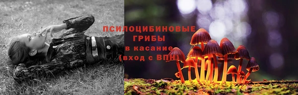 амф Бородино